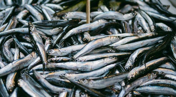 Questions les plus posées sur le vitiligo